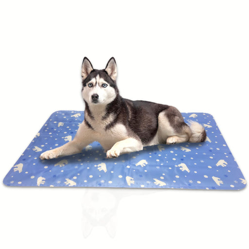 dog cooling mat - sedol (1)