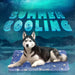 dog cooling mat - sedol (7)